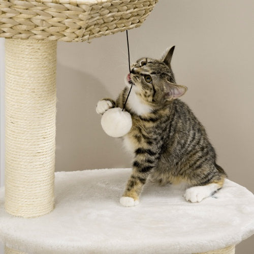 Indoor Cat Tree - PetCare