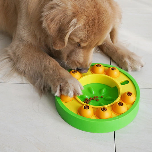 Interactive Dog Puzzle Toy & Slow Feeder - PetCare