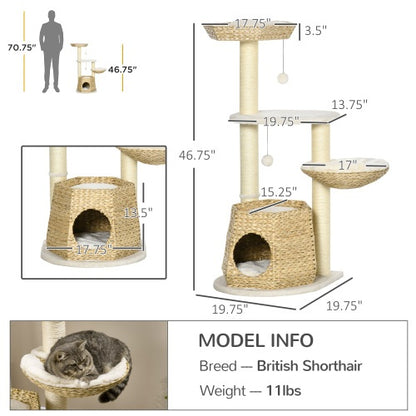 Indoor Cat Tree - PetCare